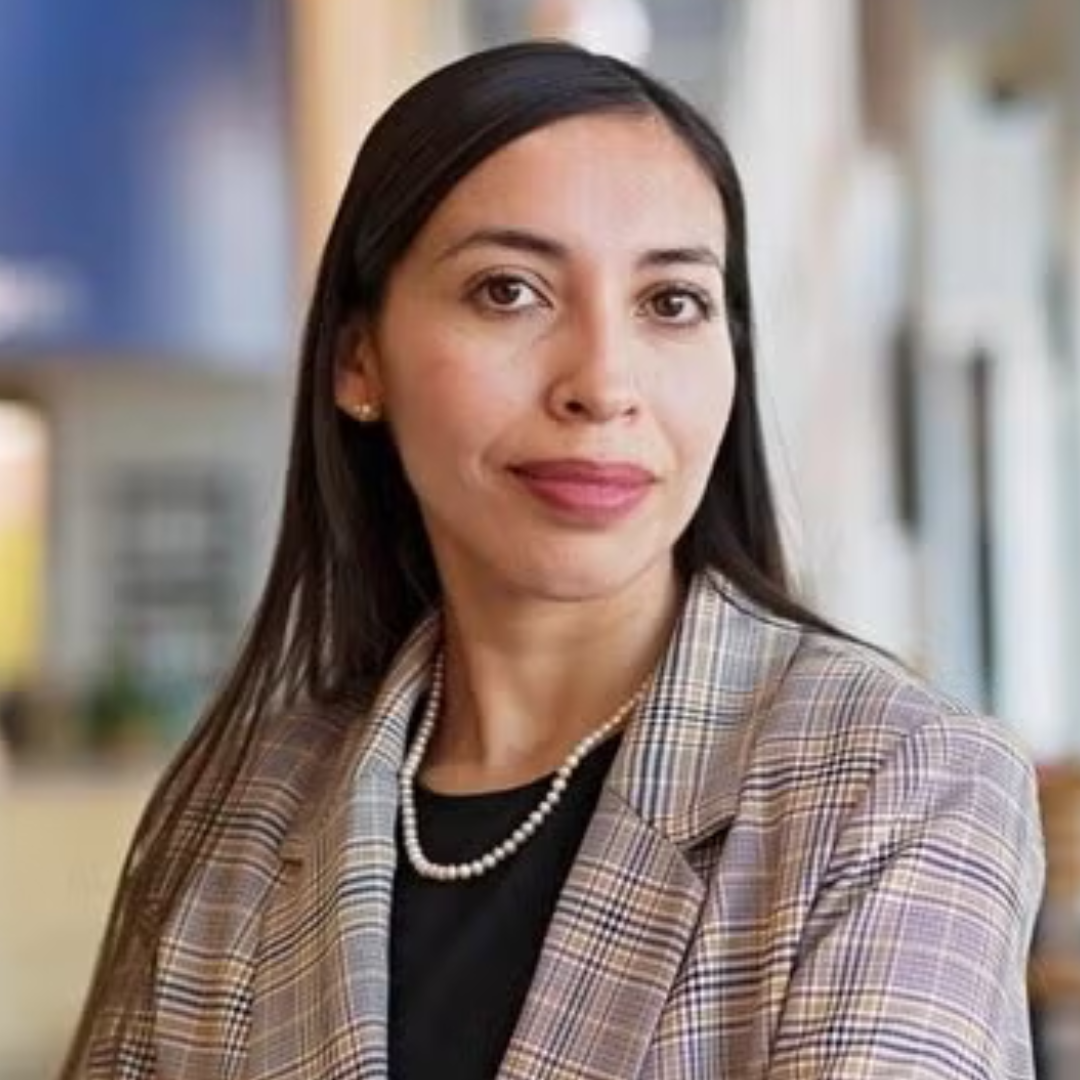 Evelyn Iriarte Parra PhD, MSN, RN
